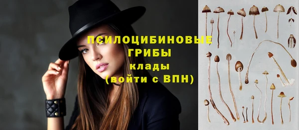 mdpv Майский