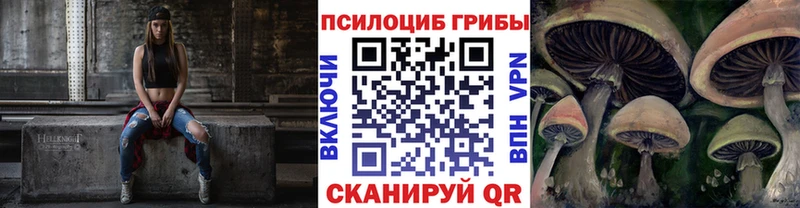 Купить закладки  Ярцево  Галлюциногенные грибы MAGIC MUSHROOMS 